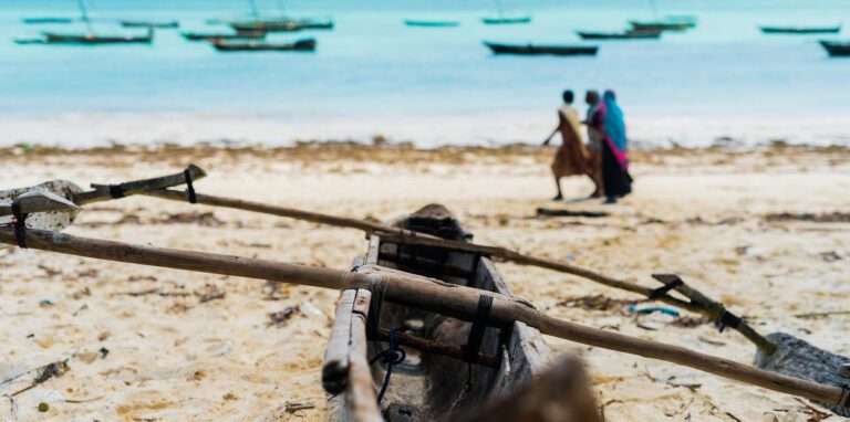 Why Aquaculture is Vital for Food Security in Africa: 5 Alarming Figures