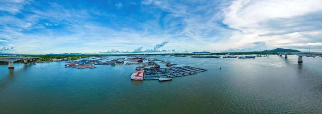 investir dans l'aquaculture africaine