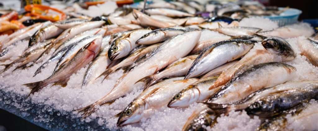 Aquaculture et la sécurité alimentaire en Afrique