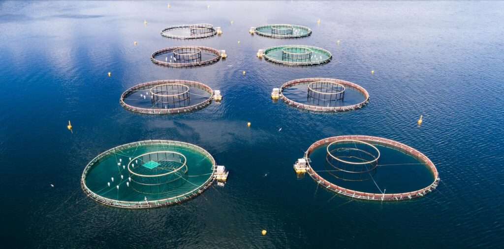 l'aquaculture en Afrique de l'Ouest