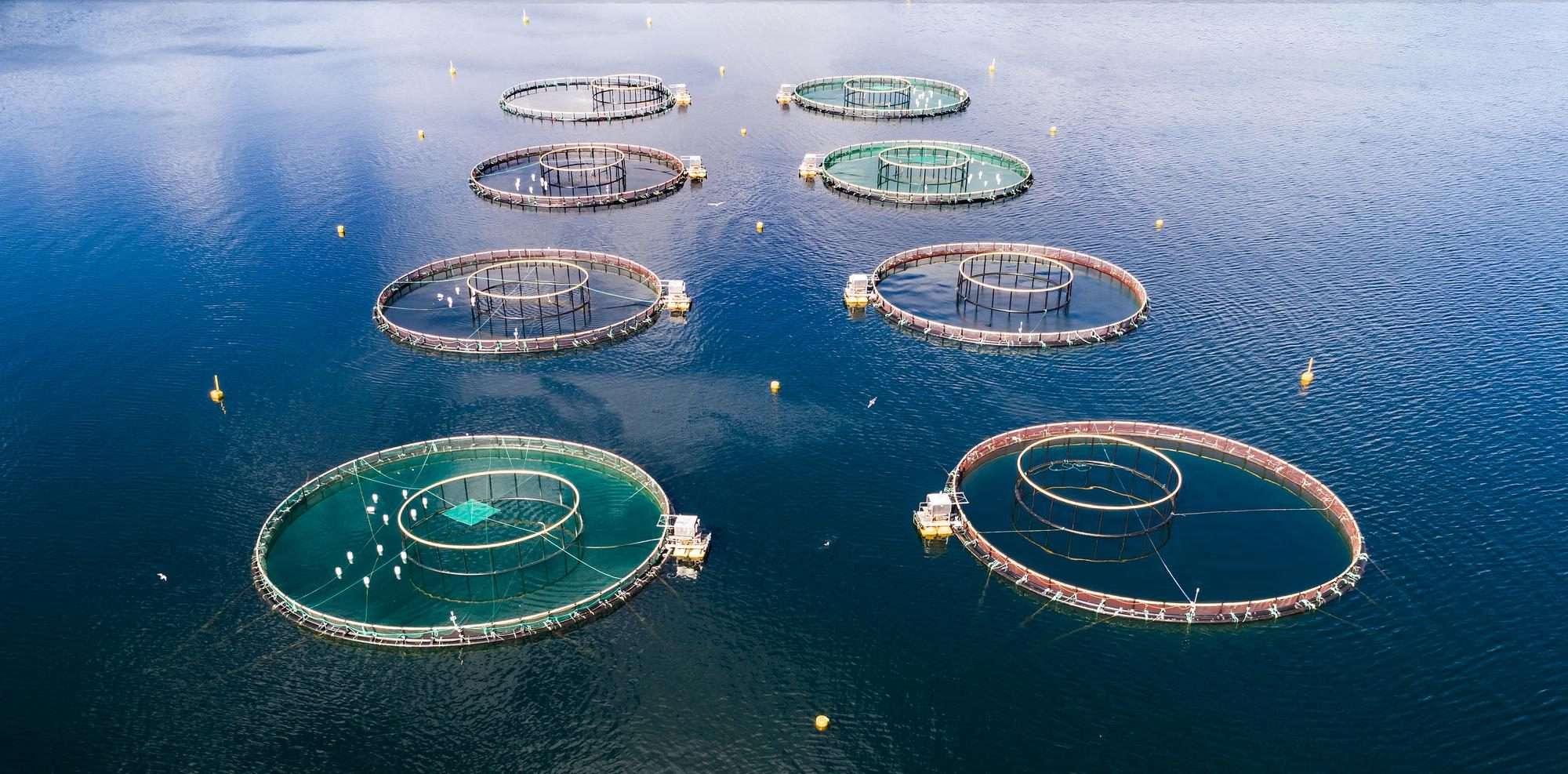 l'aquaculture en Afrique de l'Ouest